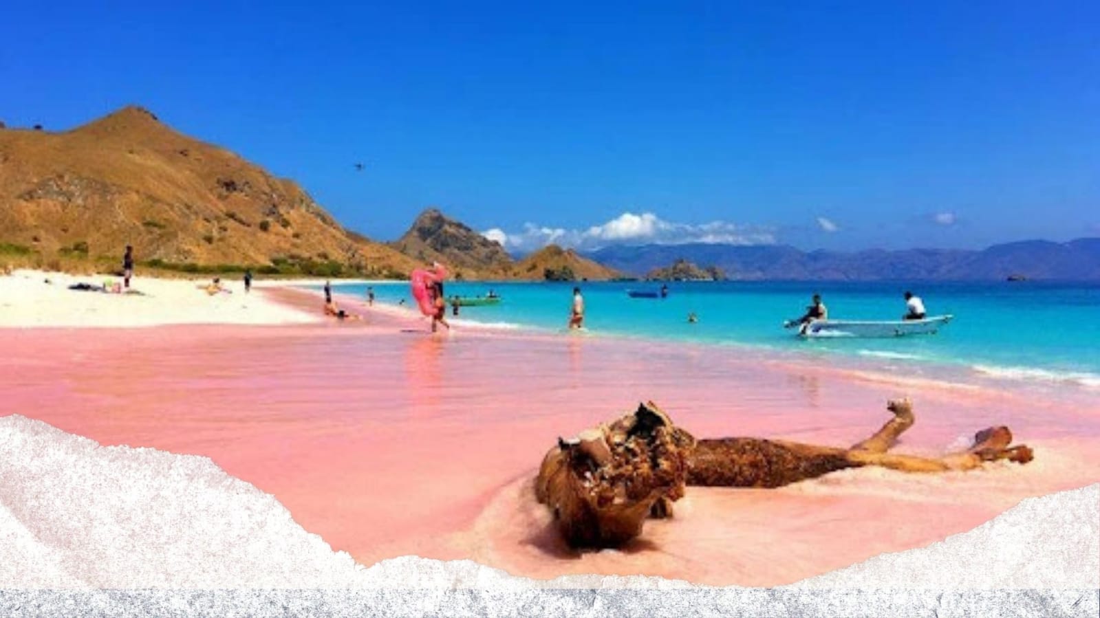 One Day Private Trip Pink Beach